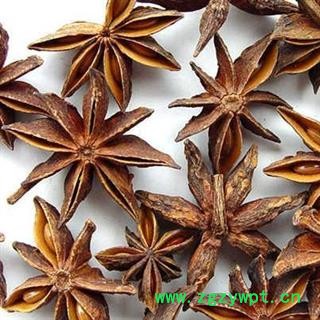大茴香 一级大茴香  过10号筛 无籽 产地 广西壮族自治区图2