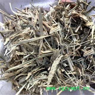 牛更草 牛耿草 牛耕草 正品野生 统货 产地 河北省  娟子中药行图3