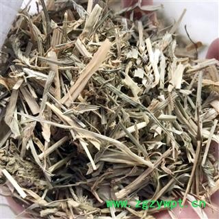 牛更草 牛耿草 牛耕草 正品野生 统货 产地 河北省  娟子中药行图2