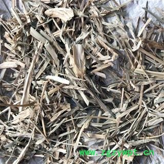 牛更草 牛耿草 牛耕草 正品野生 统货 产地 河北省  娟子中药行图4