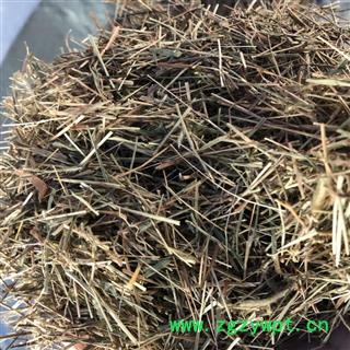 牛更草 牛耿草 牛耕草 正品野生 统货 产地 河北省 娟子中药行 买好药找娟子图2