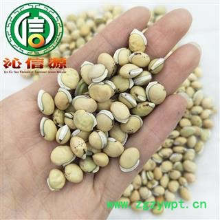 【满包邮】白扁豆个子选货散装粒大饱满产地直供沁信源中药批发图3