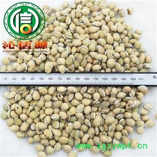 【满包邮】白扁豆个子选货散装粒大饱满产地直供沁信源中药批发图2
