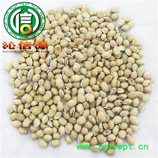 【满包邮】白扁豆个子选货散装粒大饱满产地直供沁信源中药批发图4