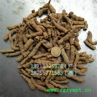 巴戟天 巴戟肉一级个 道地 广东省肇庆市产地直销图3