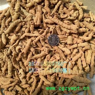 巴戟天 巴戟肉一级个 道地 广东省肇庆市产地直销图4