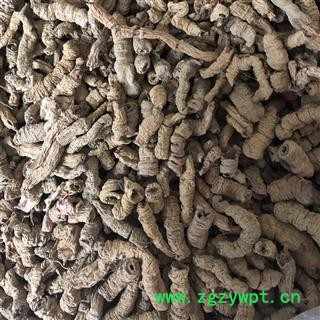 巴戟天 巴戟肉二级个0.6 全抽芯 产地 广东省  买好药找娟子图3