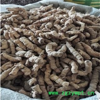 巴戟肉 大统 产地 广东省 振兴中药 产地直销 重在品质图2