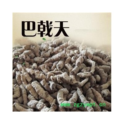 巴戟肉 大统 产地 广东省 振兴中药 产地直销 重在品质