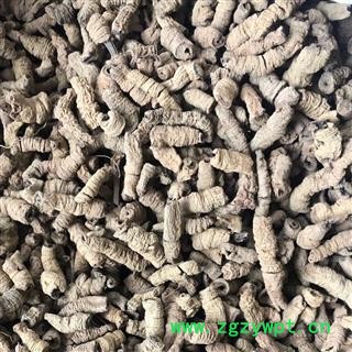 巴戟 巴戟肉一级个0.8 全抽芯 产地 广东省肇庆市 买好药找娟子图2