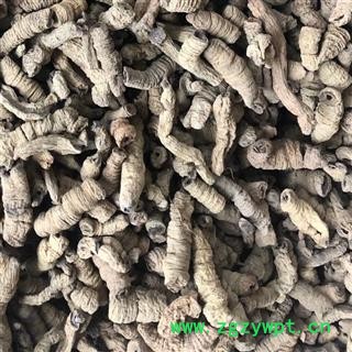 巴戟 巴戟肉一级个0.8 全抽芯 产地 广东省肇庆市 买好药找娟子图3