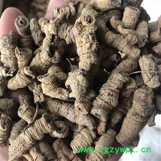 巴戟 巴戟肉一级个0.8 全抽芯 产地 广东省肇庆市 买好药找娟子图4