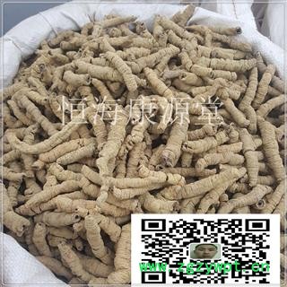 恒海康源堂巴戟天 巴戟肉一级个0.8别名鸡肠风、鸡眼藤、黑藤钻、兔仔肠、三角藤、糠藤 产地 北京市图3