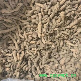 巴戟天 巴戟天统段 产地 广西壮族自治区图4