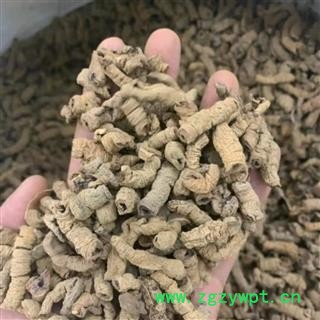 巴戟天 巴戟天统段 产地 广西壮族自治区图2