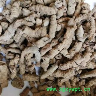 巴戟天 巴戟天统段 产地 广西壮族自治区图3