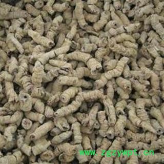 小丽百草行无硫 巴戟肉好统 产地 广西图2