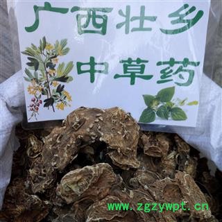 广西壮乡中草药 野生 好选货 个子大 八角莲 八角连 一碗水 金魁莲 产地 广西柳州市融水苗族自治县图2