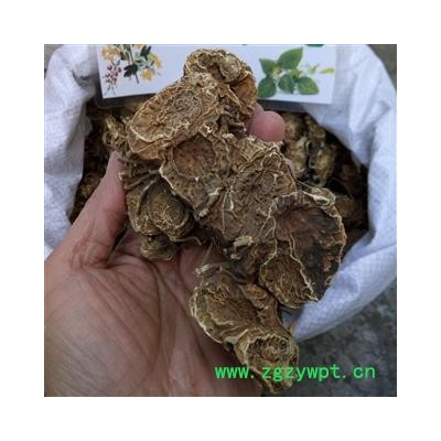 广西壮乡中草药 野生 好选货 个子大 八角莲 八角连 一碗水 金魁莲 产地 广西柳州市融水苗族自治县