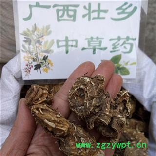 广西壮乡中草药 野生 好选货 个子大 八角莲 八角连 一碗水 金魁莲 产地 广西柳州市融水苗族自治县图3