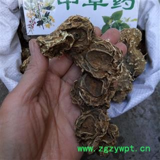 广西壮乡中草药 野生 好选货 个子大 八角莲 八角连 一碗水 金魁莲 产地 广西柳州市融水苗族自治县图4