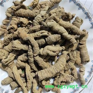 巴戟天 巴戟肉二级个0.6抽芯率高纯干货纯无硫 产地 广西壮族自治区图2