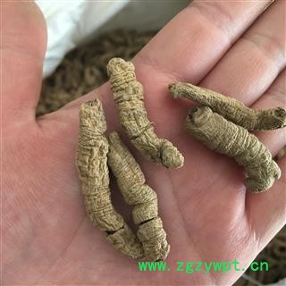 巴戟肉 巴戟天抽芯 统货 过筛去泥沫 颜色好 产地 广东省图3