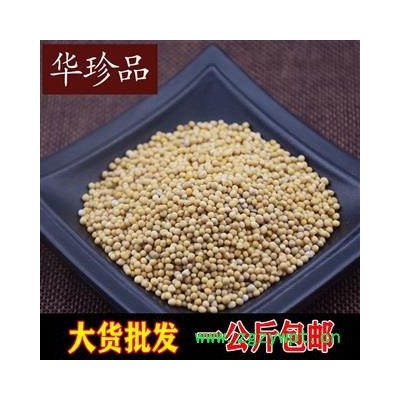 白芥子 01 白芥子 统  产地 四川省攀枝花市仁和区