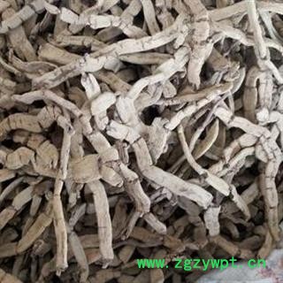 巴戟天 巴戟肉压扁个 产地 广东省肇庆市 买好药找娟子图2