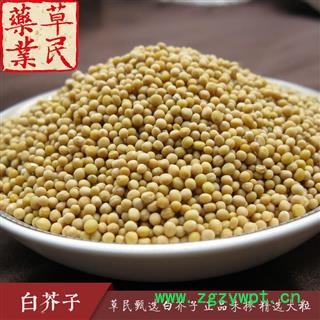 草民甄选白芥子 正品未掺 精选大粒 专业批发量大从优图4