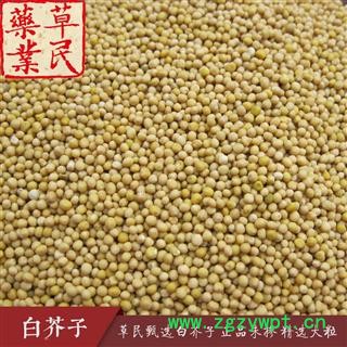 草民甄选白芥子 正品未掺 精选大粒 专业批发量大从优图3