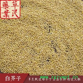 草民甄选白芥子 正品未掺 精选大粒 专业批发量大从优图2