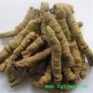 巴戟肉 巴戟肉一级个0.8选货无小的全抽芯高质量无硫磺纯干 产地 广西壮族自治区图2