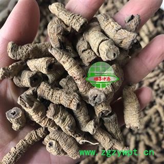 巴戟肉 选货 全抽芯 产地 广东省肇庆市 买好药找娟子图2