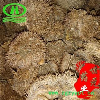 世元药业 栗子壳 正品 栗毛球 板栗皮 板栗外壳 优质图2