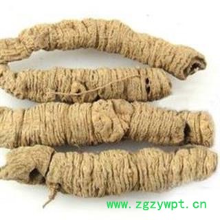 巴戟天 巴戟天纯肉精选大个儿 产地 广西壮族自治区图2