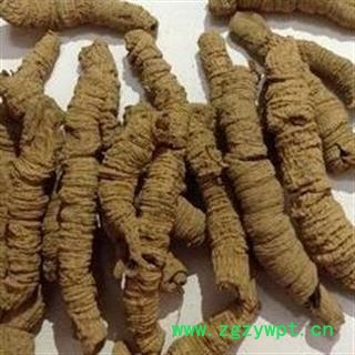 巴戟天 巴戟天纯肉精选大个儿 产地 广西壮族自治区图3