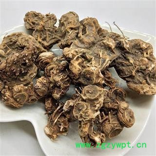 八角莲 八角莲统货 金魁莲 旱八角 叶下花 一把伞 马眼莲 独叶一枝花 八角产地 湖北省 买好药找娟子图2