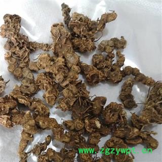 八角莲 八角莲统货 金魁莲 旱八角 叶下花 一把伞 马眼莲 独叶一枝花 八角产地 湖北省 买好药找娟子图3