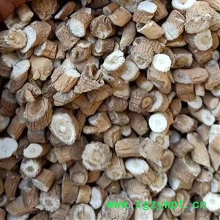 板蓝根 统 产地 河北省图2