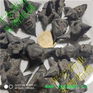 平安药业 菱角 马甲子 正品 雄虎刺 铁菱角 白棘图2
