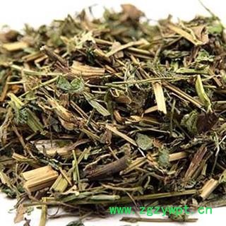 小丽百草行白屈菜  断肠草 土黄连 牛金花 八步紧 大茶药 大炮夜 野蔓图2