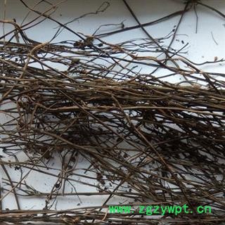 小丽百草行中药材  茅膏菜毛膏菜石龙芽草黄金丝滴水不干图2