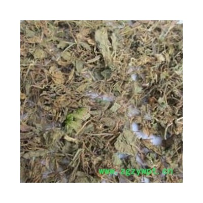 安祁名药正品芨芨草 积机草 席萁草 枳芨草.