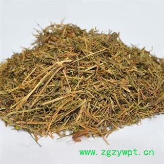 百蕊草 百乳草、小草、细须草、青龙草 段 统货 产地 河北省图2