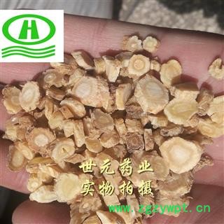 世元药业 沙参大片0.6以上 【全品除尘中药】图2