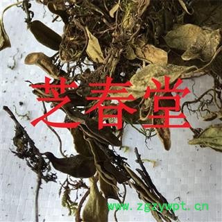 芝春堂 抱石莲 正品无硫 风不动 鱼鳖草 金丝鱼鳖 山豆爿草 抱树莲图3