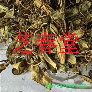 芝春堂 抱石莲 正品无硫 风不动 鱼鳖草 金丝鱼鳖 山豆爿草 抱树莲图4