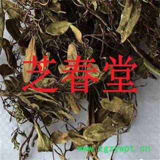 芝春堂 抱石莲 正品无硫 风不动 鱼鳖草 金丝鱼鳖 山豆爿草 抱树莲图2