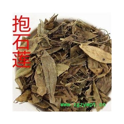 抱石莲 正品别称 镜面草 石瓜子 地连钱 金龟藤 统货 产地 福建省